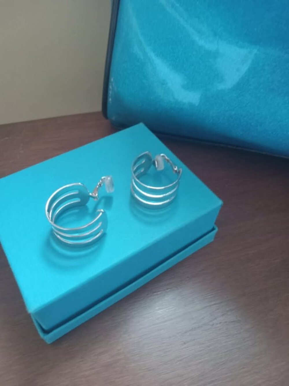Sarah Coventry clip on loop earrings